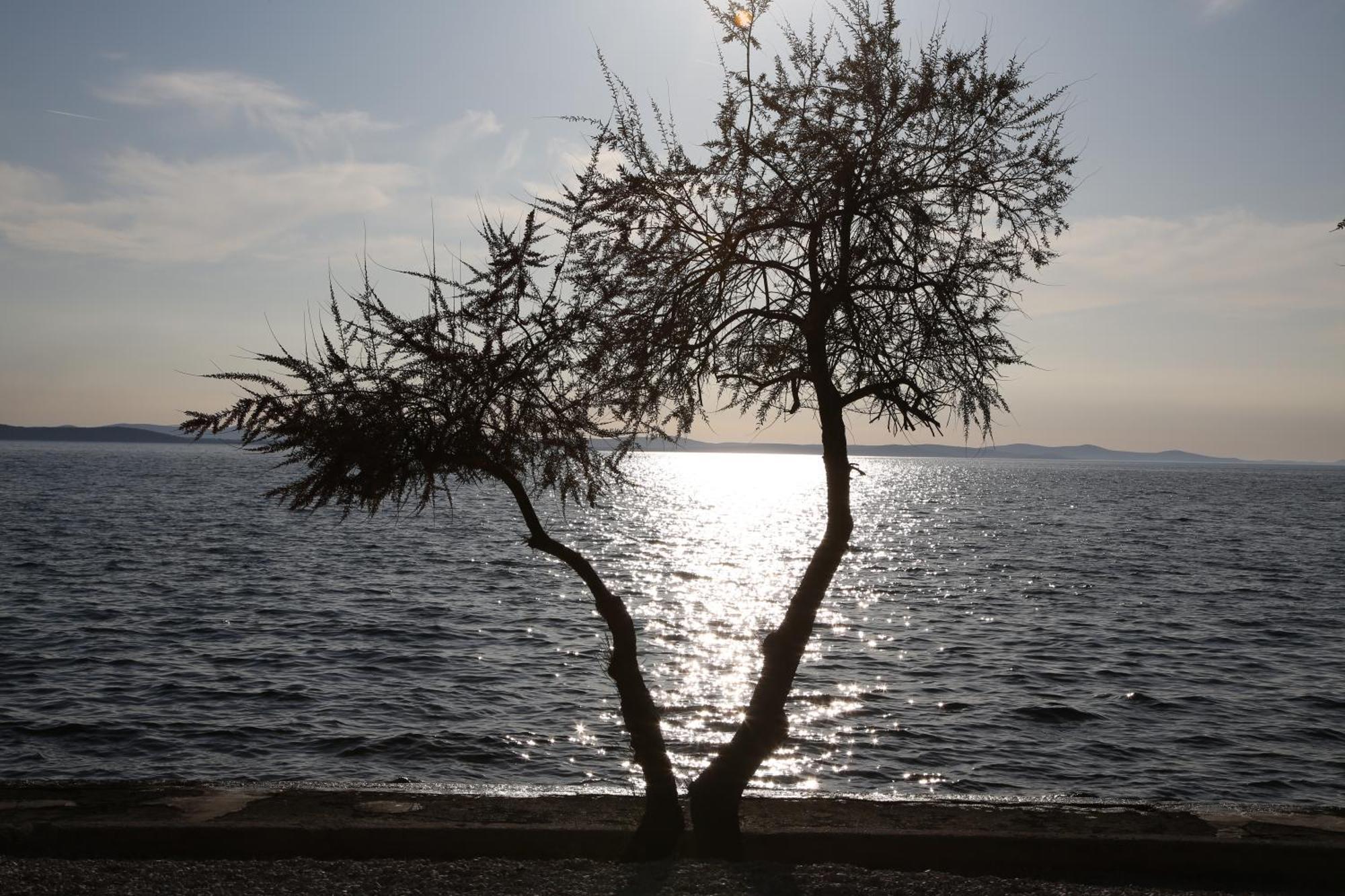 Villa Punta Zadar Luaran gambar